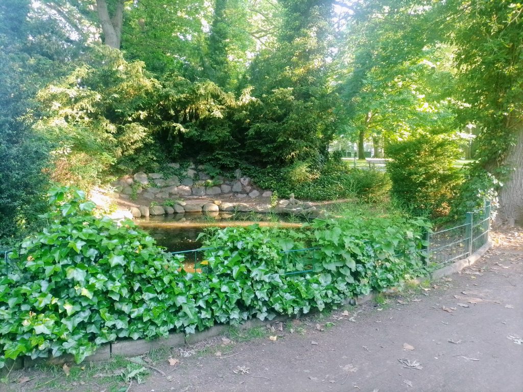 Der Froschkönigteich des Lübecker Stadtparks im sommerlichen Sonnenschein. Kostenlos mit Quellenangabe nutzbar.