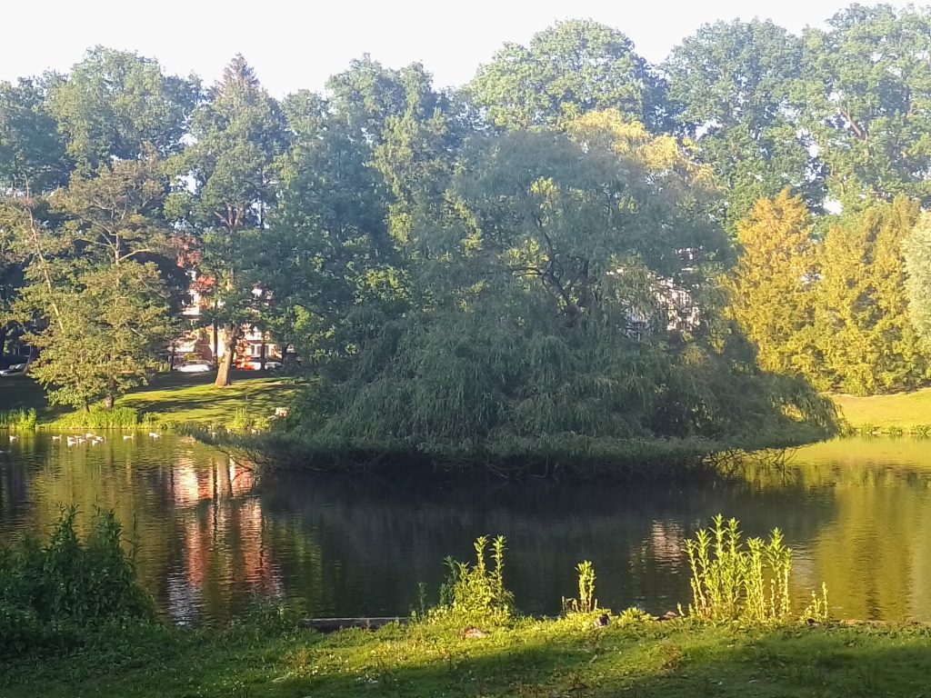 Schwebende Insel im Lübecker Stadtpark. Kostenlos mit Quellenangabe nutzbar.