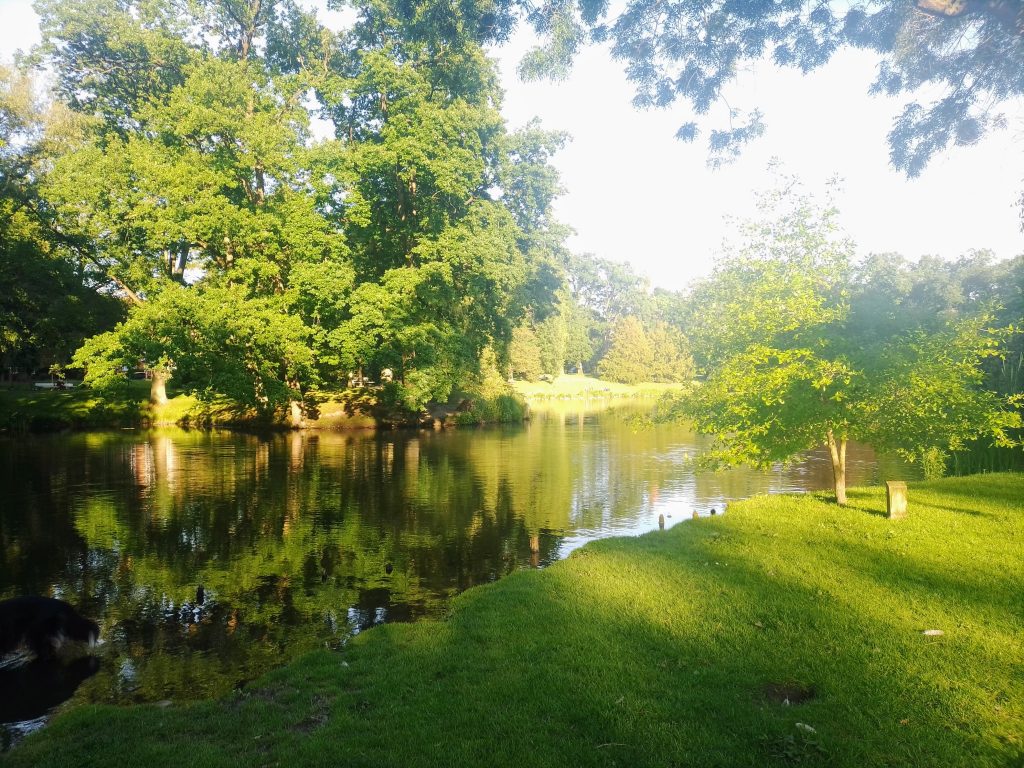 Sommerliches Parkidyll im Lübecker Stadtpark. Kostenlos mit Quellenangabe nutzbar.