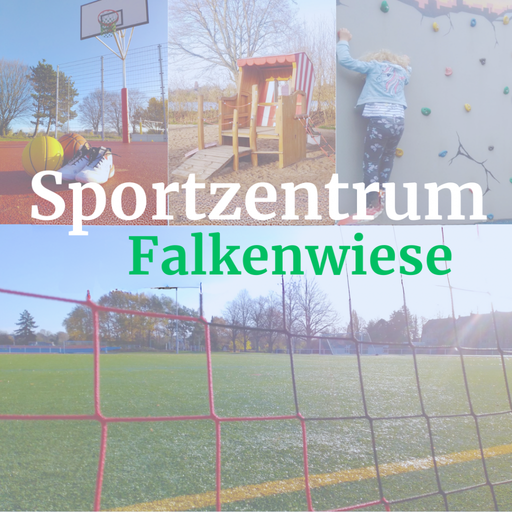 Mit einem Klick auf das Bild wirst Du zu den offiziellen Informationen über das Sport- und Freizeitzentrum Falkenwiese weitergeleitet.