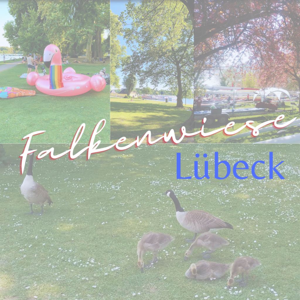 Mit einem Klick auf das Bild wirst Du zu den offiziellen Informationen über die Lübecker Falkenwiese weitergeleitet.